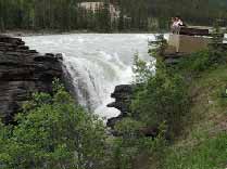 Sunwapta Falls in Jasper National Park